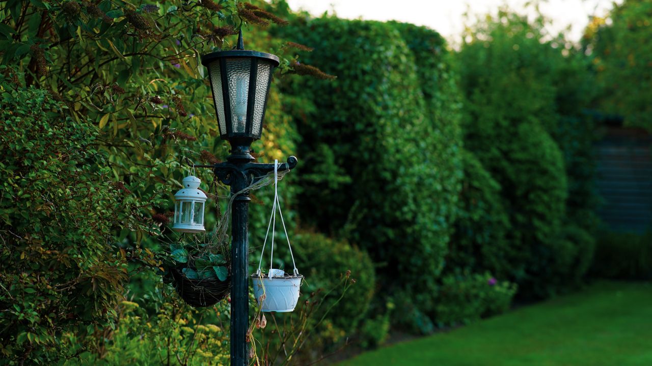 ours-journey A vintage style lantern illuminated in a lush green garden creates a tranquil outdoor atmosphere.