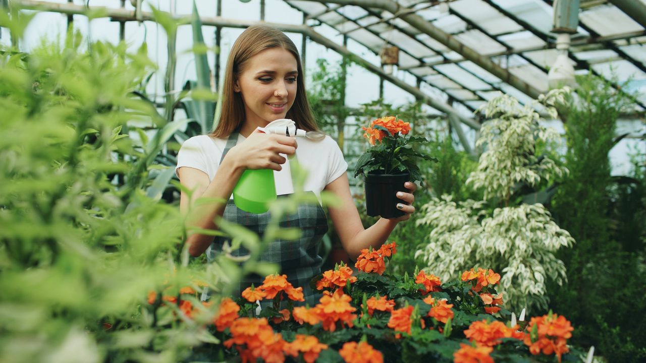 A woman tending to flowers in a greenhouse, showcasing gardening and plant care.