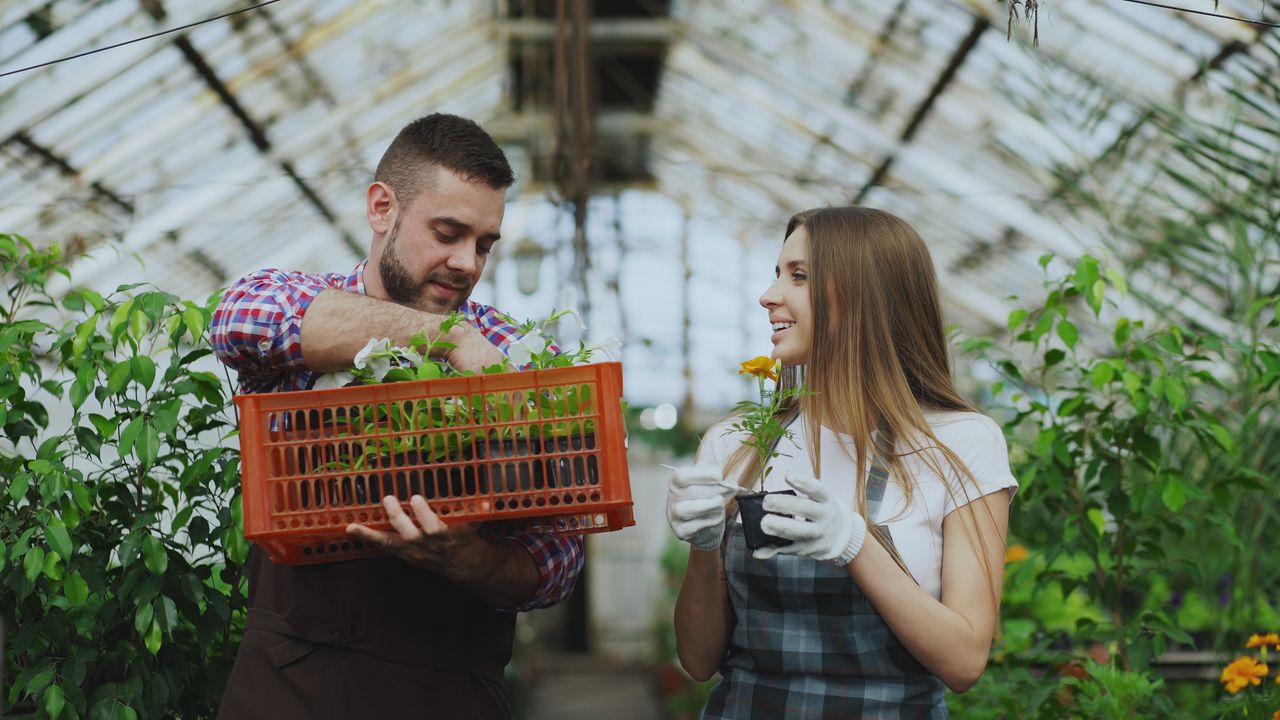 services-02 Two young adults tending to plants in a greenhouse, showcasing teamwork and gardening skills.