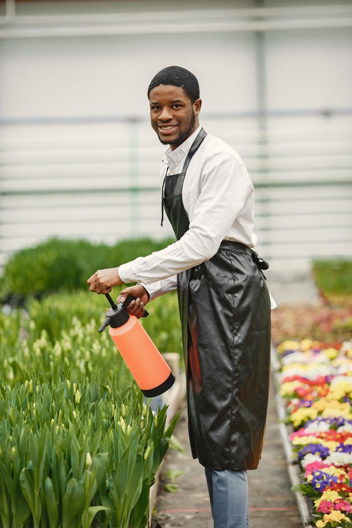 Cheerful gardener in apron spraying plants in a lush greenhouse.
