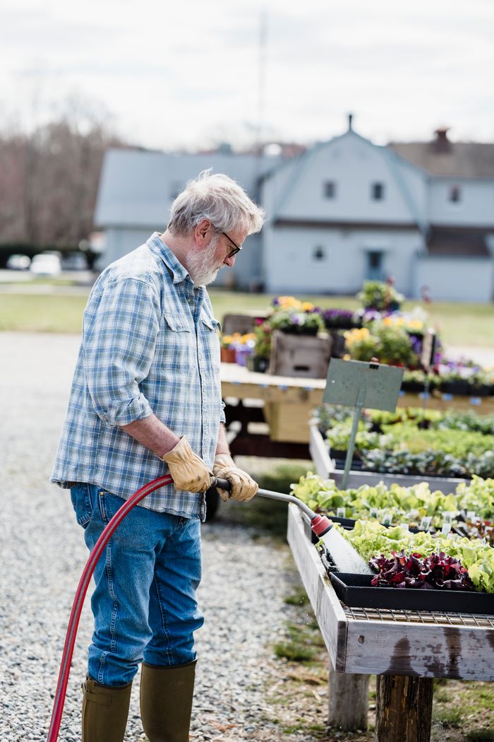 contact-img Side view of elderly gardener in checkered shirt and jeans watering green fresh organic plants in boxes while standing on farmland in daylight